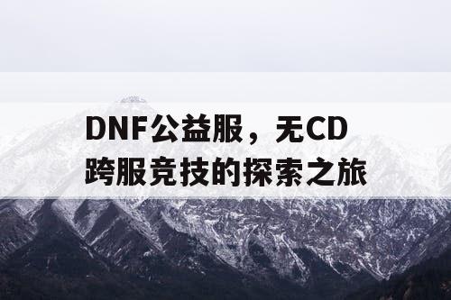 DNF公益服，无CD跨服竞技的探索之旅