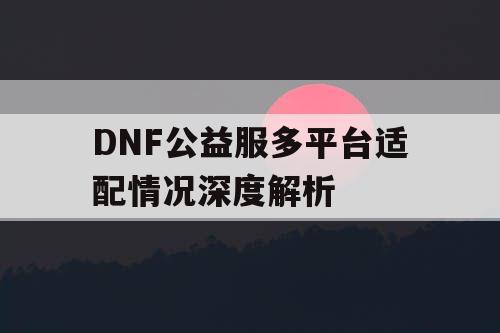 DNF公益服多平台适配情况深度解析