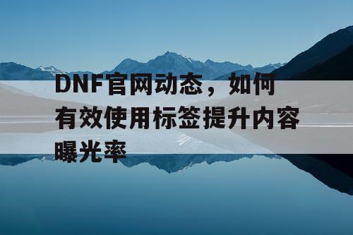 DNF官网动态	，如何有效使用标签提升内容曝光率