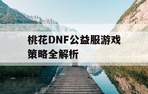 桃花DNF公益服游戏策略全解析