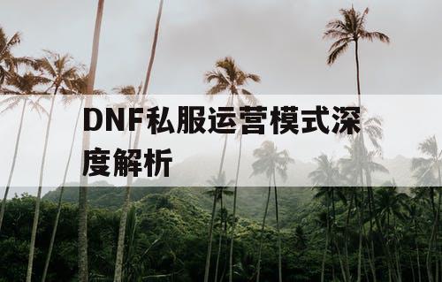 DNF私服运营模式深度解析