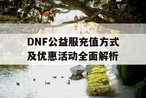 DNF公益服充值方式及优惠活动全面解析