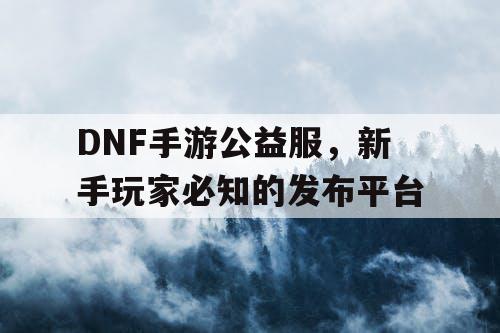 DNF手游公益服，新手玩家必知的发布平台