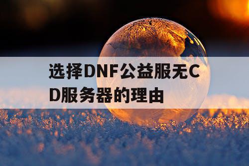 选择DNF公益服无CD服务器的理由