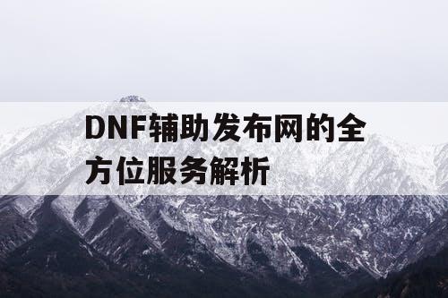 DNF辅助发布网的全方位服务解析