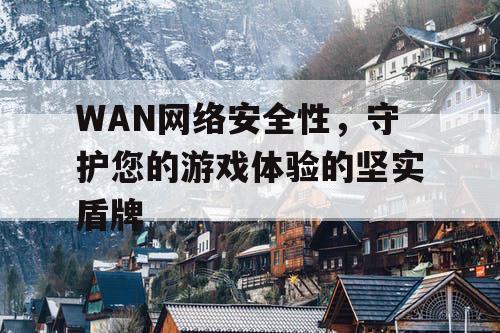 WAN网络安全性	，守护您的游戏体验的坚实盾牌