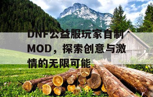 DNF公益服玩家自制MOD	，探索创意与激情的无限可能