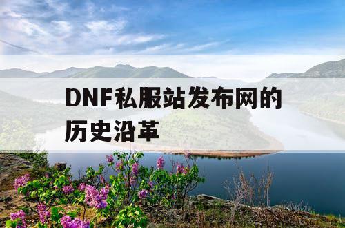 DNF私服站发布网的历史沿革