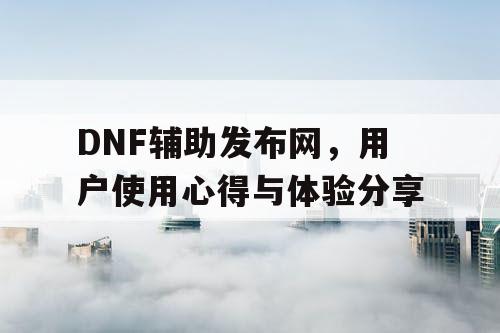 DNF辅助发布网	，用户使用心得与体验分享