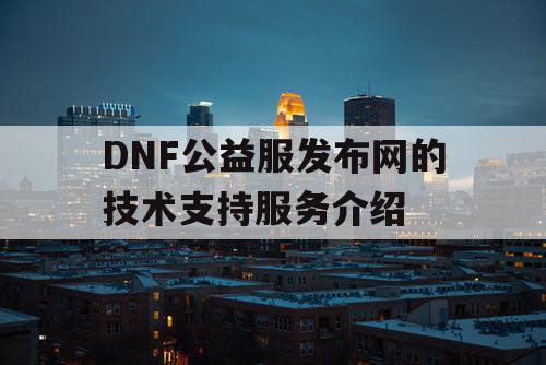 DNF公益服发布网的技术支持服务介绍