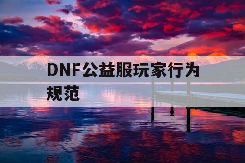 DNF公益服玩家行为规范