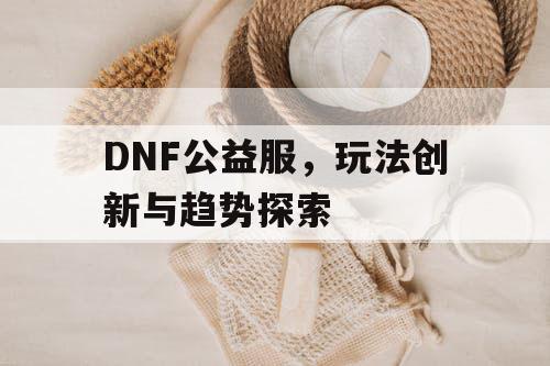 DNF公益服，玩法创新与趋势探索