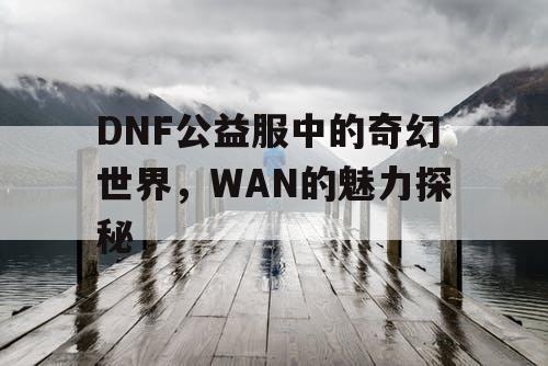 DNF公益服中的奇幻世界，WAN的魅力探秘