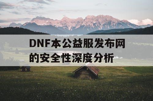 DNF本公益服发布网的安全性深度分析