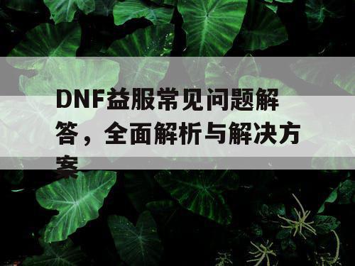 DNF益服常见问题解答	，全面解析与解决方案