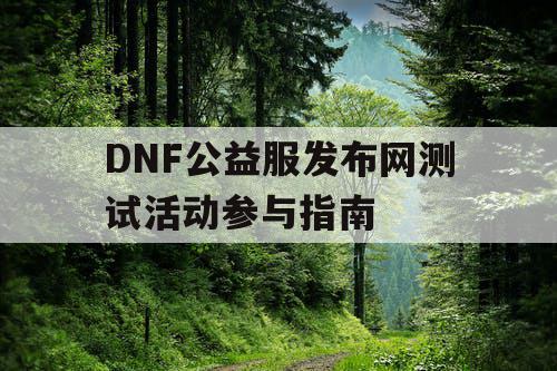 DNF公益服发布网测试活动参与指南