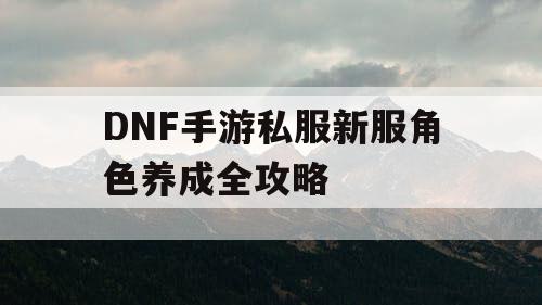 DNF手游私服新服角色养成全攻略