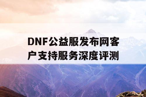 DNF公益服发布网客户支持服务深度评测