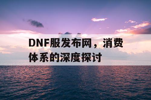 DNF服发布网，消费体系的深度探讨