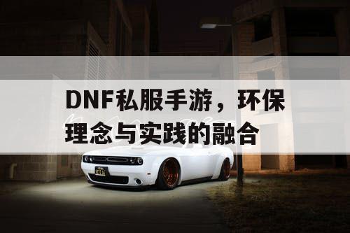 DNF私服手游	，环保理念与实践的融合