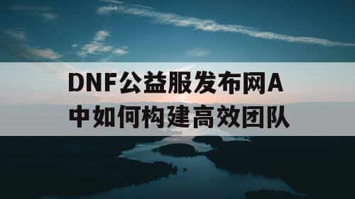 DNF公益服发布网A中如何构建高效团队