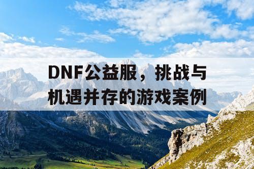 DNF公益服，挑战与机遇并存的游戏案例