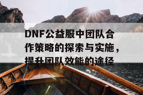 DNF公益服中团队合作策略的探索与实施，提升团队效能的途径