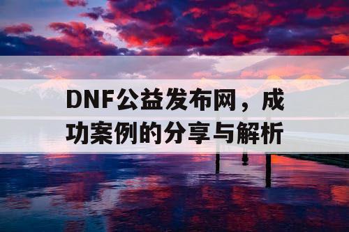 DNF公益发布网	，成功案例的分享与解析