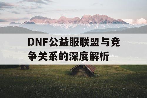 DNF公益服联盟与竞争关系的深度解析