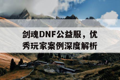 剑魂DNF公益服	，优秀玩家案例深度解析