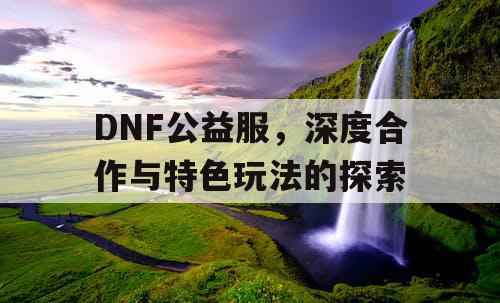 DNF公益服，深度合作与特色玩法的探索