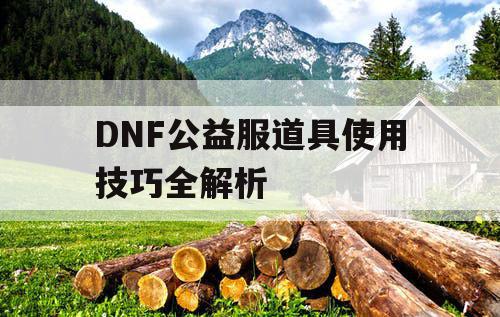 DNF公益服道具使用技巧全解析