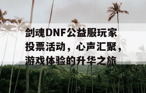 剑魂DNF公益服玩家投票活动，心声汇聚	，游戏体验的升华之旅