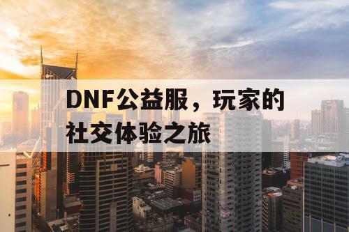 DNF公益服	，玩家的社交体验之旅