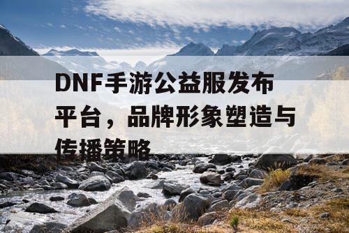 DNF手游公益服发布平台，品牌形象塑造与传播策略