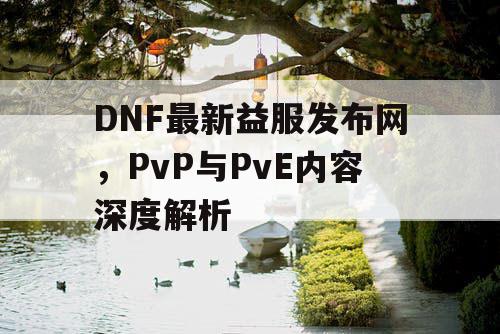 DNF最新益服发布网	，PvP与PvE内容深度解析