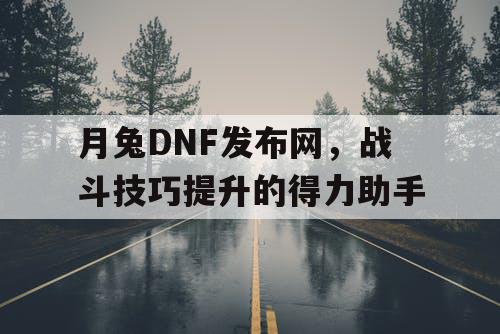 月兔DNF发布网	，战斗技巧提升的得力助手