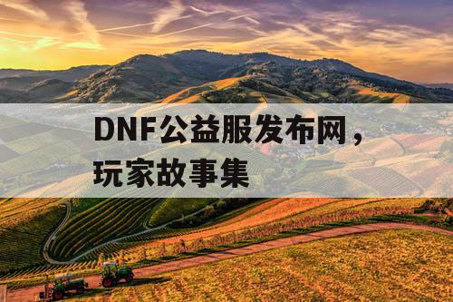 DNF公益服发布网，玩家故事集