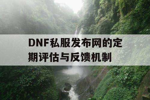 DNF私服发布网的定期评估与反馈机制