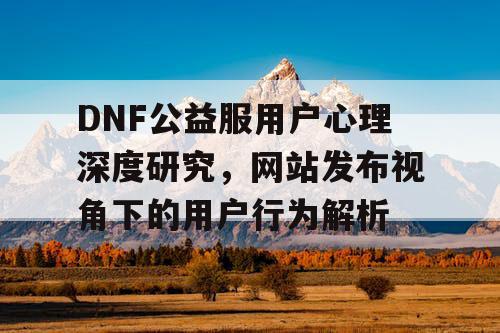 DNF公益服用户心理深度研究，网站发布视角下的用户行为解析