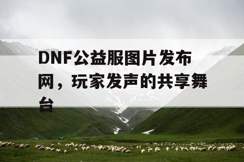 DNF公益服图片发布网，玩家发声的共享舞台