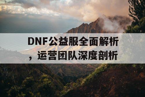 DNF公益服全面解析，运营团队深度剖析