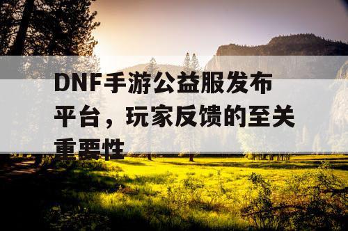 DNF手游公益服发布平台	，玩家反馈的至关重要性