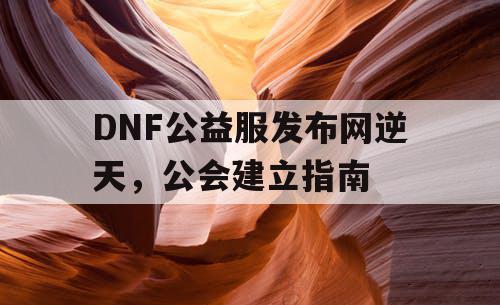 DNF公益服发布网逆天，公会建立指南