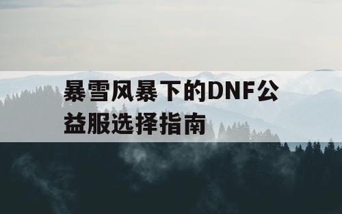 暴雪风暴下的DNF公益服选择指南