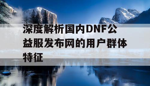 深度解析国内DNF公益服发布网的用户群体特征