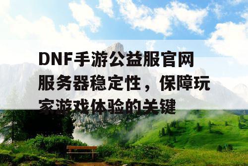 DNF手游公益服官网服务器稳定性	，保障玩家游戏体验的关键