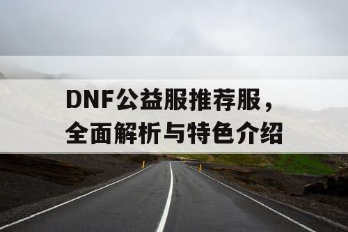 DNF公益服推荐服，全面解析与特色介绍