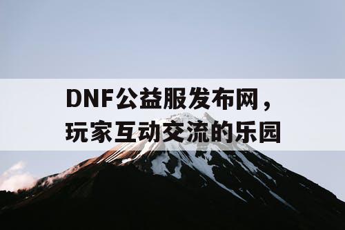 DNF公益服发布网	，玩家互动交流的乐园