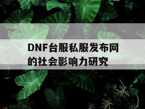 DNF台服私服发布网的社会影响力研究